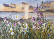 Пейзаж с колокольчиками и ромашками на закате