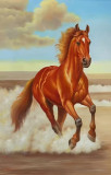 Fire Horse. Striving for new horizons