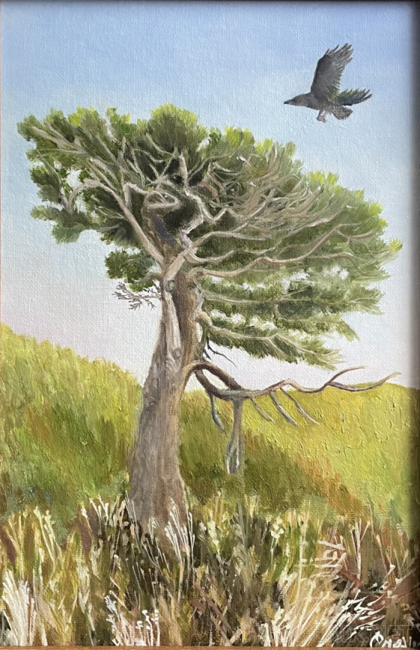 Курильские мотивы #1