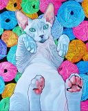 Сфинкс в клубках