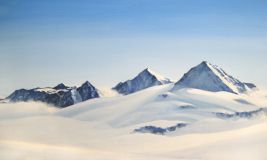 Массив Винсон