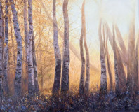 Golden veil wrapped in birch