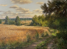 Рожь поспела