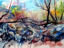 Гармония хаоса