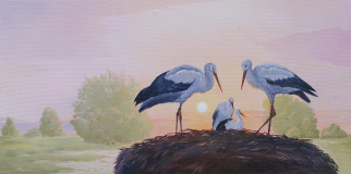 Morning,storks