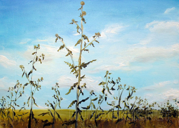 Картина Чертополох. Размеры: 35x25, Год: 2017, Цена: 3500 рублей ...