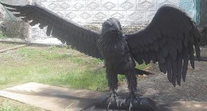 El águila de metal
