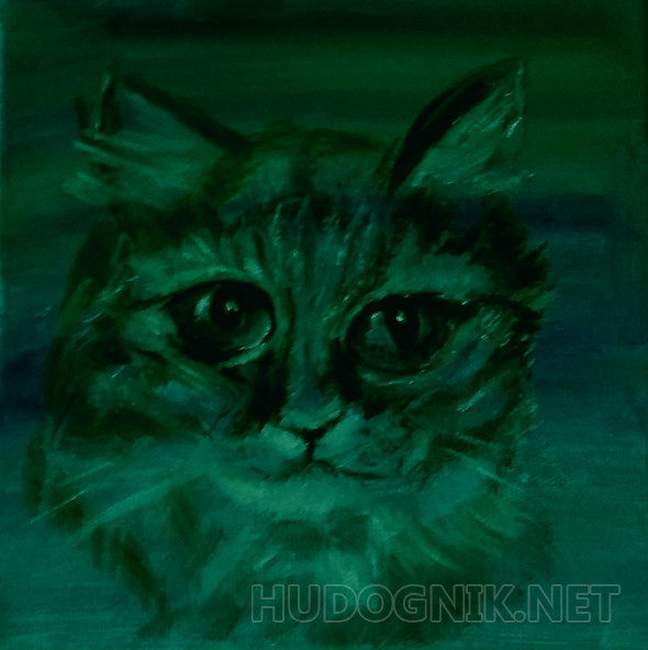 Кошки - 3 ( Мурка )