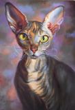 Портрет кошки сфинкса