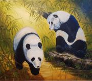 Los pandas en бамбуковом bosque