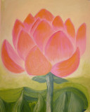 The scarlet flower (Lotus)