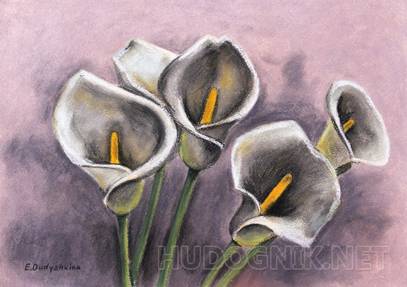 Картина Каллы. Размеры: 42x29, Год: 2014, Цена: 7000 рублей Художник ...