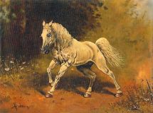 El caballo blanco