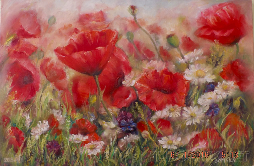 "Morning poppies"