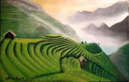 Rice fields China