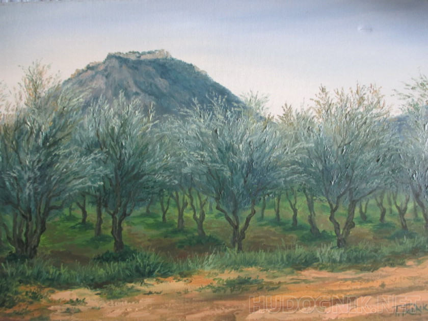 Оливки у дороги на фоне горы Наварон с кастро.