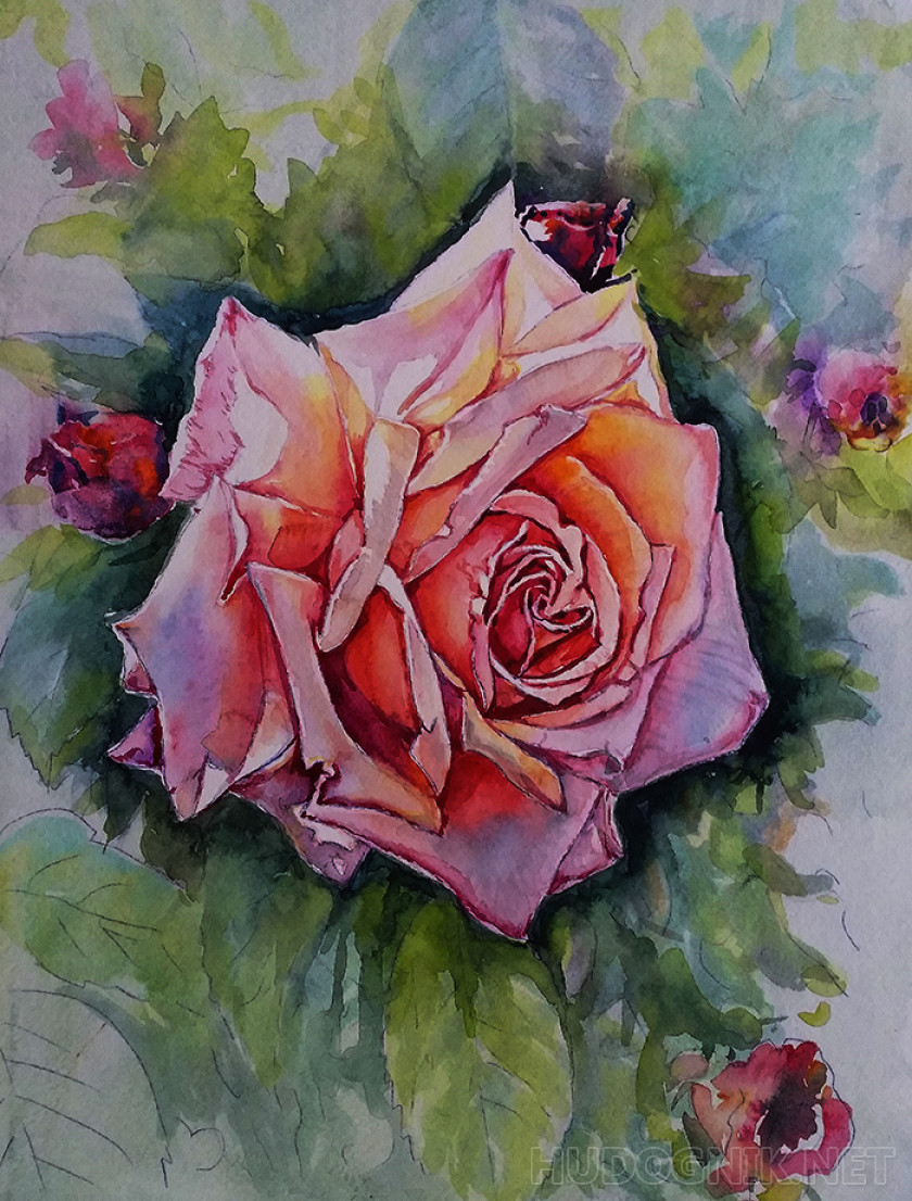 Эскиз розы