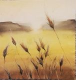 пшеничное поле