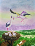 Storks