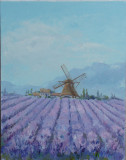 La provenza. Un campo de lavanda.