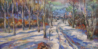 winter road in the mahr