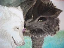 A pair of wolves