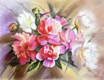 Peonies pink