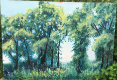 Bosque de la raya