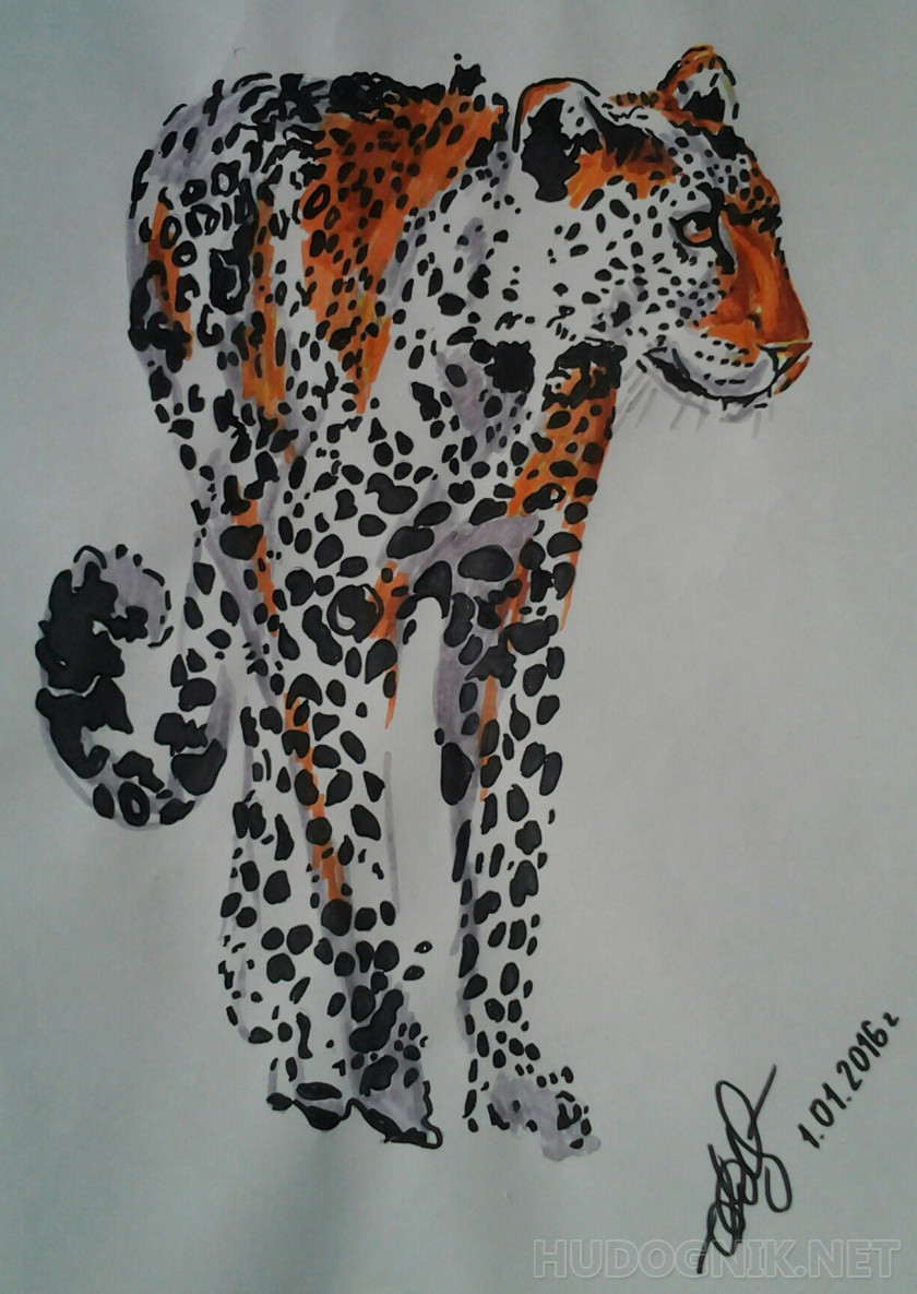 Leopard