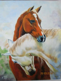 Horses