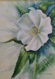 La primavera