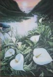 "Calla lilies on the water"