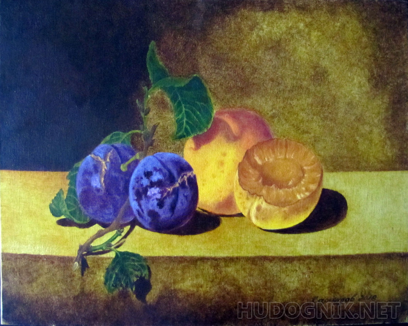 Still life with plums and apricots