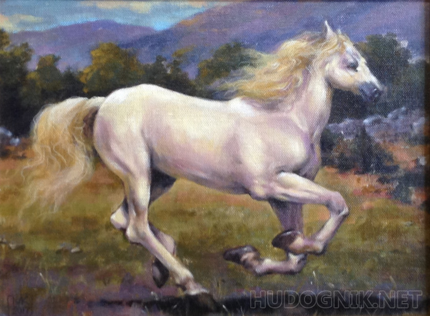 бегущая лошадь на фоне гор