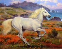 Белая лошадь и море