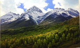 Aibga mountain in the Caucasus were not, then posmorti