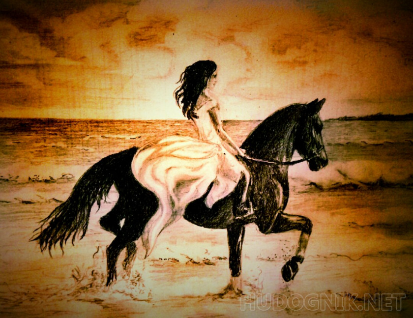 девушка на коне