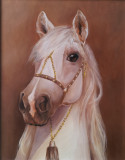 Horse white