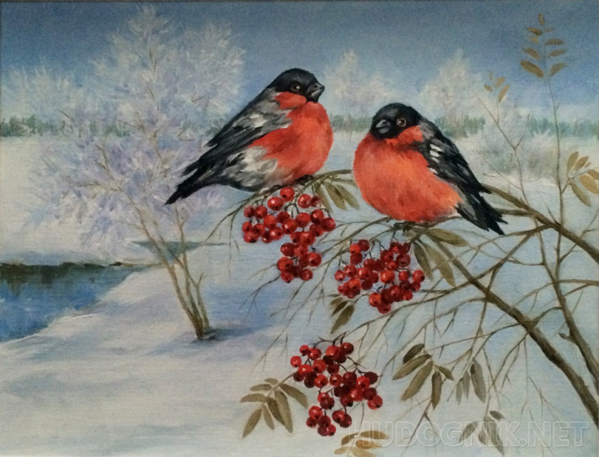 Bullfinches