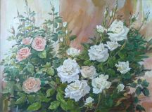 Розовые и белые розы