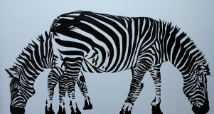 The "Zebra"