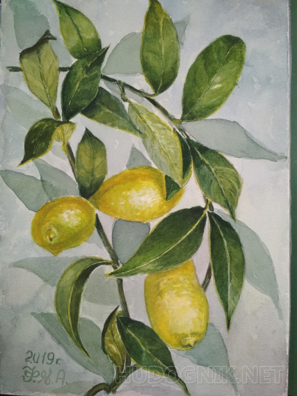 Картина Лимоны на веточке. Размеры: 30x21, Год: 2019, Цена: 8000 рублей ...