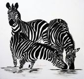The "Zebra"