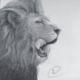 Рисунок африканского льва маркерами на бумаге