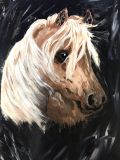 Steppe horse