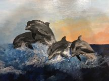 Los delfines