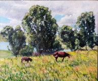 Marroquí paisaje con caballos