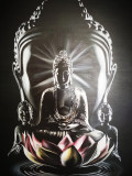 Buddha consciousness