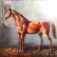Ганноверская лошадь