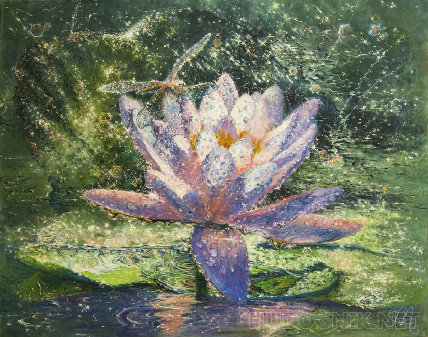 Water Lily and dragonfly